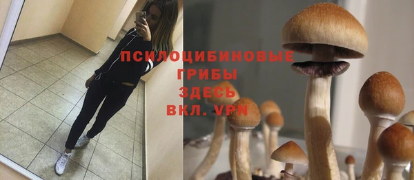 apvp Медногорск