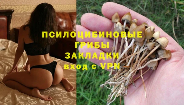 прущая мука Медвежьегорск
