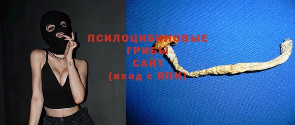 apvp Медногорск