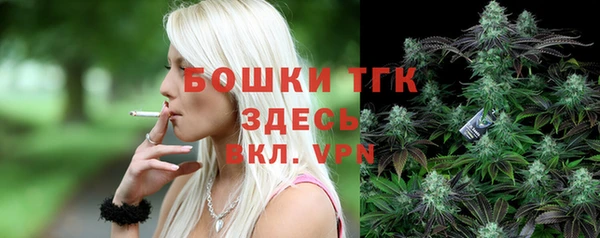 apvp Медногорск