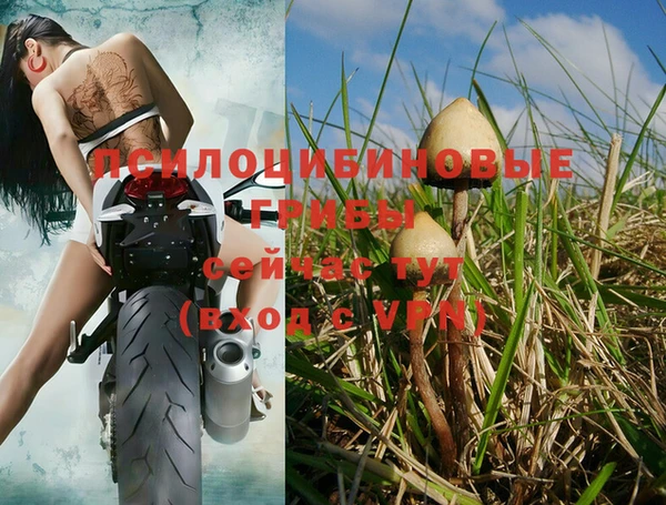 прущая мука Медвежьегорск
