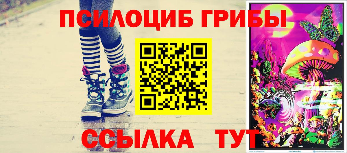 Псилоцибиновые грибы мицелий Ртищево